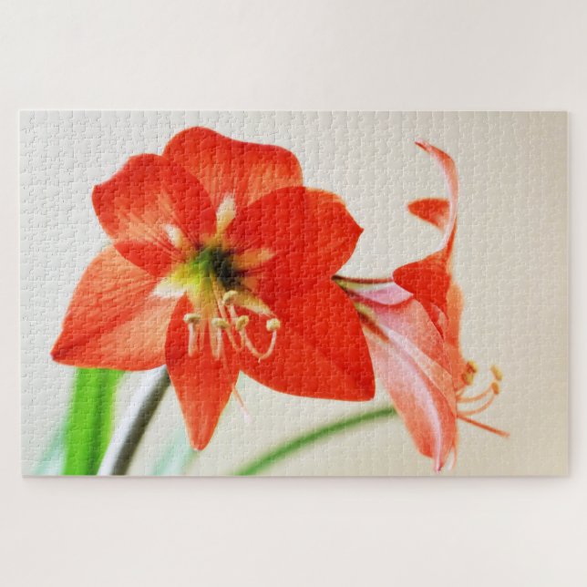 Red Amaryllis Flower Jigsaw Puzzle (Horizontal)