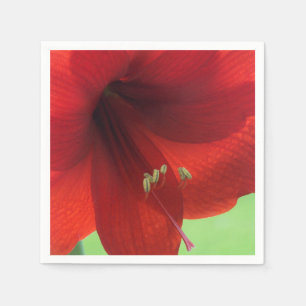 Red Amaryllis Flower Paper Napkins