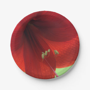 Red Amaryllis Flower Paper Plates