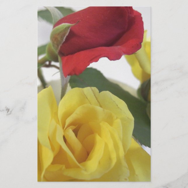 Red amd Yellow Roses Stationery (Front)