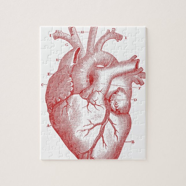 Red Anatomical Heart Jigsaw Puzzle (Vertical)