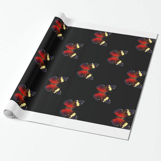 Red and black butterfly pattern wrapping paper (Unrolled)