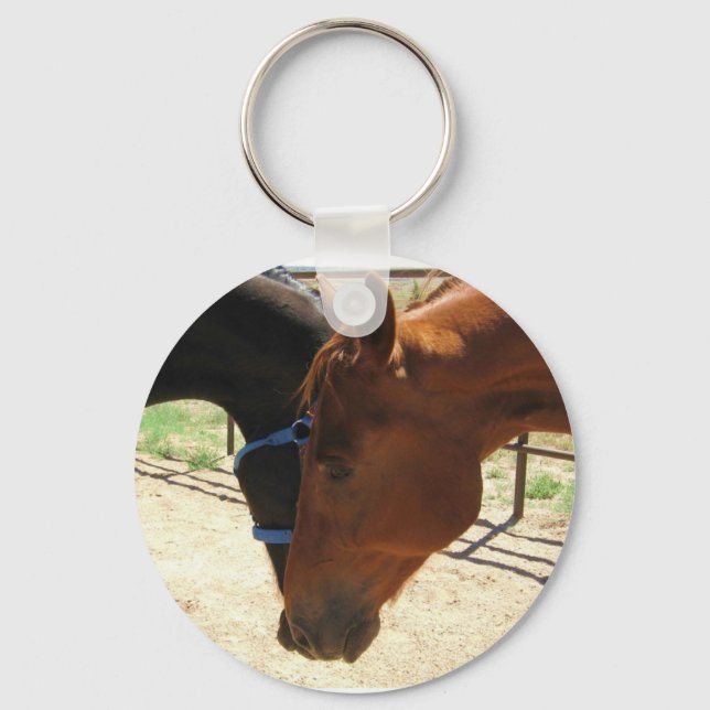 Red and Black Horse Friends Share a Secret Key Ring (Front)