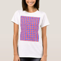 Red And Blue Gingham Mini Check
