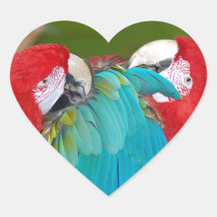 Red and blue macaw parrot print heart sticker