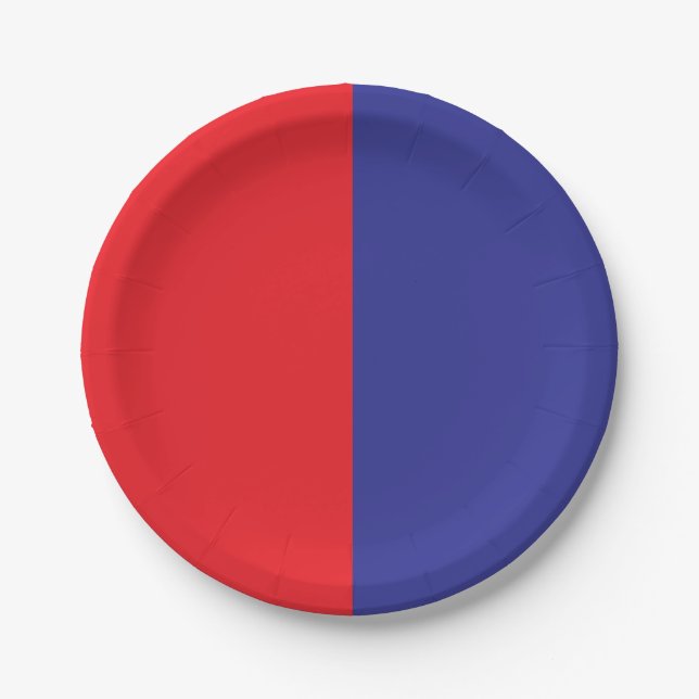 Red And Blue Paper Plate (Front)