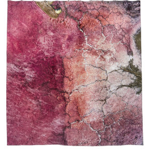 Red and brown abstract painting shower curtain