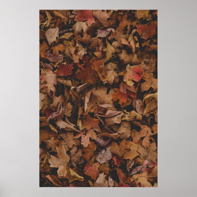 RED AND BROWN LEAVES ON GROUND POSTER (Front)