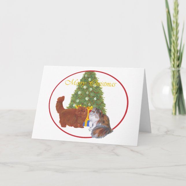 Red and Calico Persian Cats Christmas Holiday Card (Front)