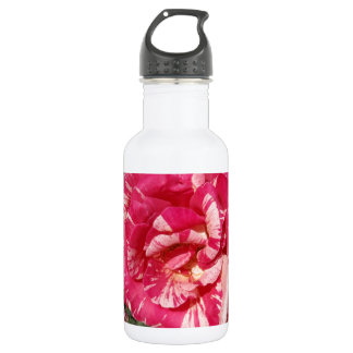 Red and Cream Rose 532 Ml Water Bottle