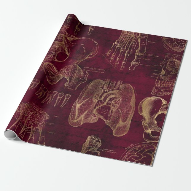 Red and Gold Anatomy Drawing on Red Wrapping Paper (Unrolled)