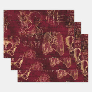 Red and Gold Anatomy Drawing on Red Wrapping Paper Sheet