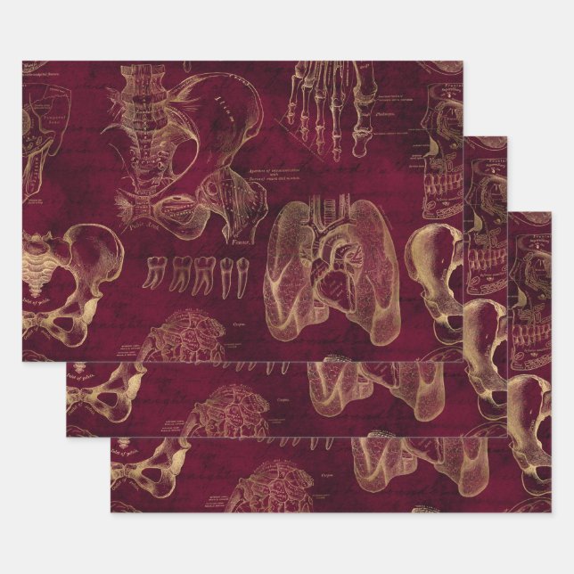 Red and Gold Anatomy Drawing on Red Wrapping Paper Sheet (Set)