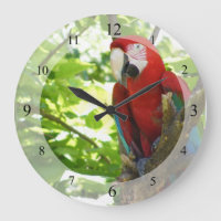 Red and Gold Macaw Clock
