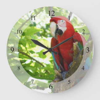 Red and Gold Macaw Clock