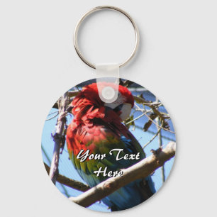 Red and Gold Macaw Keychain
