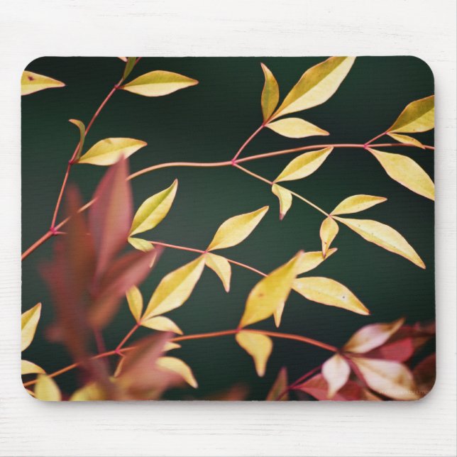 Red and Gold Mousepad (Front)