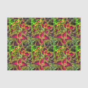 Red and green Coleus plant Tissue Paper