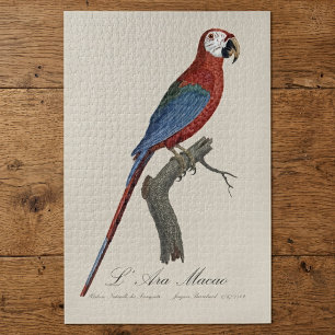Red-and-green Macaw, Ara chloropterus Jigsaw Puzzle