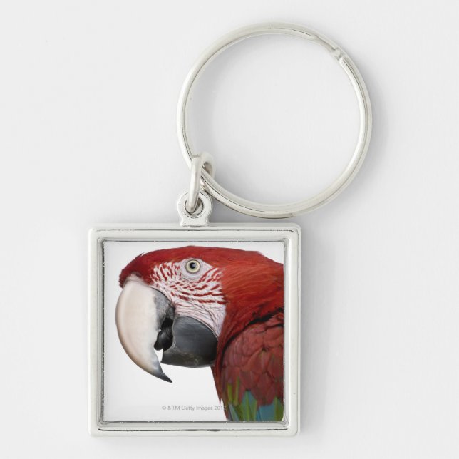 Red-and-green Macaw - Ara chloropterus Key Ring (Front)