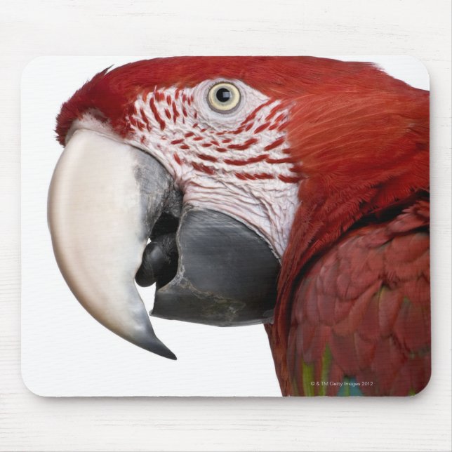 Red-and-green Macaw - Ara chloropterus Mouse Pad (Front)
