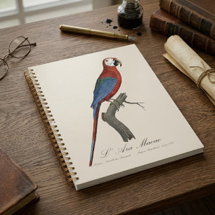 Red-and-green Macaw, Ara chloropterus Planner