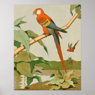 Red-and-Green Macaw Jungle Parrot Poster