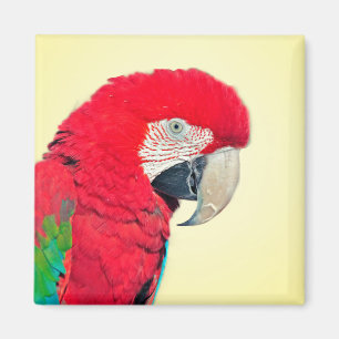 Red and Green Macaw Parrot Magnet