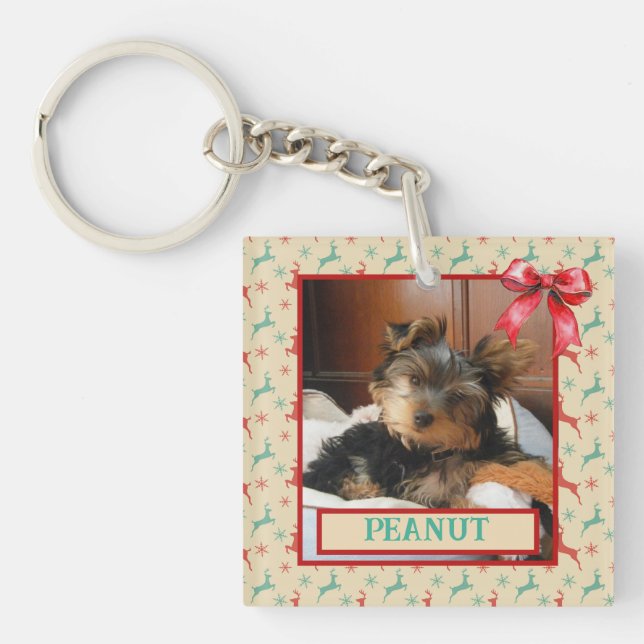 Red and Green Reindeer - Child or Pet Photo Key Ring (Front)