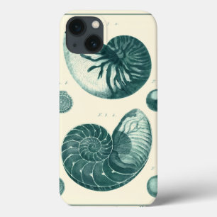 Red and Green Seashell Art iPhone 13 Case