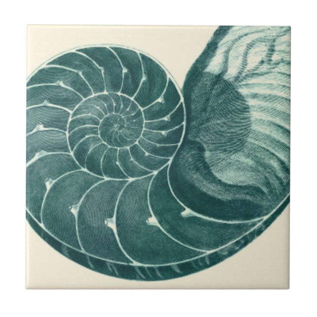 Red and Green Seashell Art Ceramic Tile (Front)