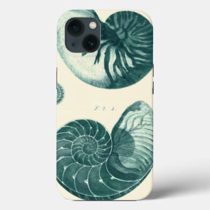 Red and Green Seashell Art iPhone Case