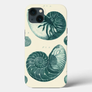 Red and Green Seashell Art iPhone Case
