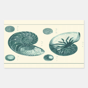 Red and Green Seashell Art Rectangular Sticker