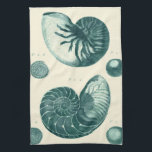 Red and Green Seashell Art Tea Towel<br><div class="desc">Artist Denis Diderot is talented and known for his great sea life images. In this vivid image, he captures two red and green crackled Conch seashells in their most natural style. Conches are often crackled like these two seashells and in a sepia looking tone. Get your seashell product today and...</div>