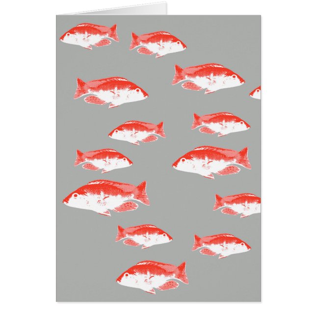 Red and grey fish (Front)