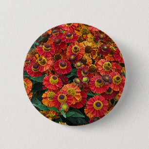 Red and orange helenium flowers 6 cm round badge
