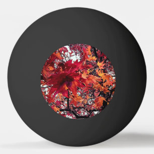 Red and orange leaves ping pong ball