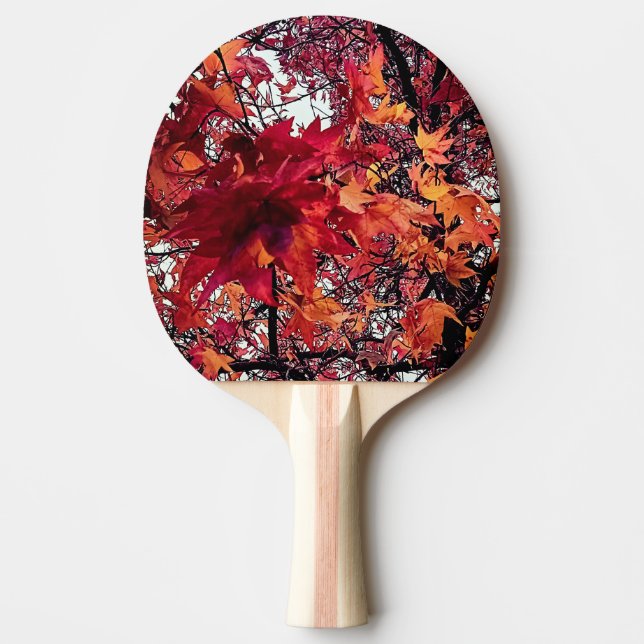 Red and orange leaves  ping pong paddle (Front)