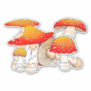 Red and orange mushroom 
