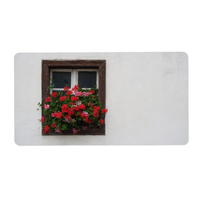 Red And Pink Pelargonium (Front)