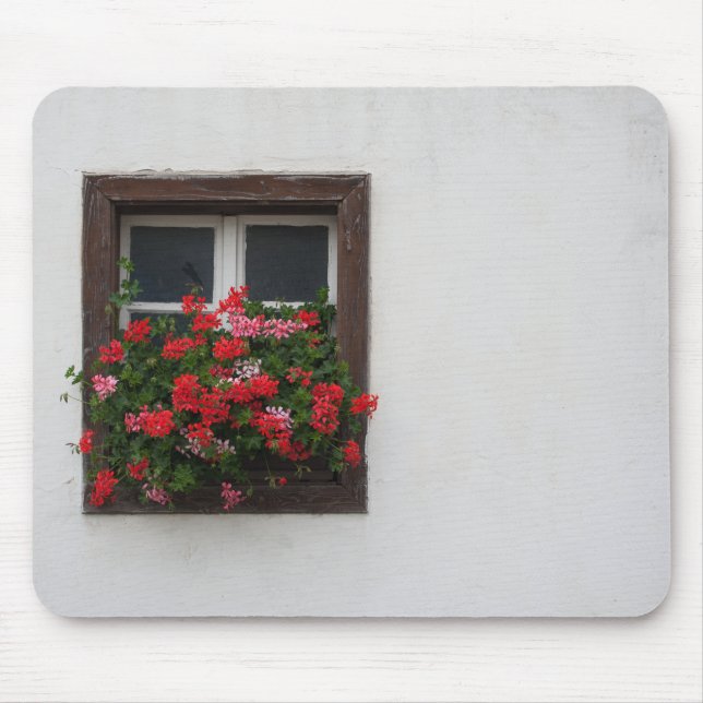 Red And Pink Pelargonium Mouse Pad (Front)