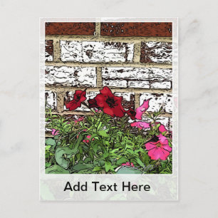Red and Pink Petunias Postcard