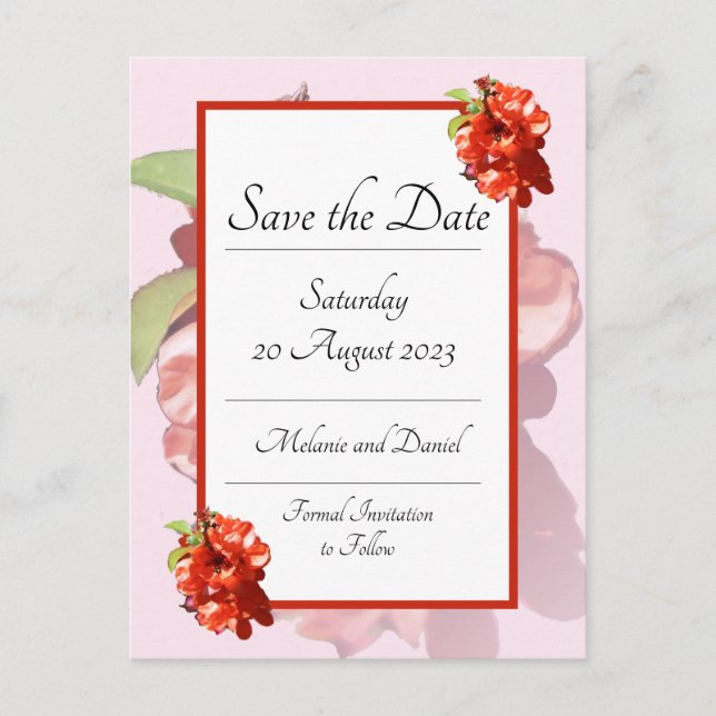 Red and Pink Quince Flower Save the Date Postcard (Front)