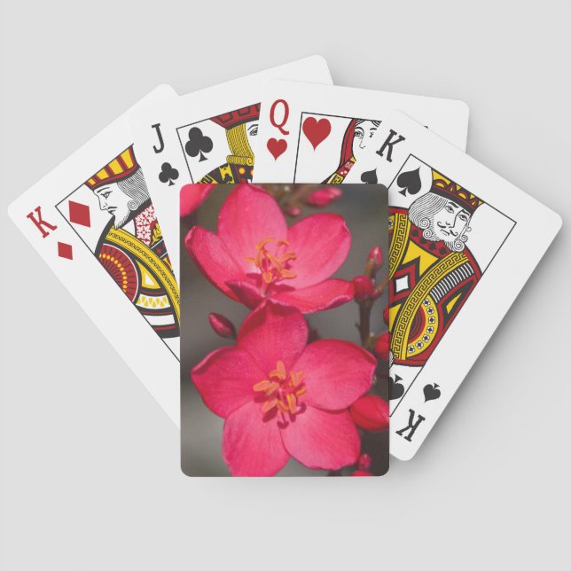 Red and Pink Tropical Fiji Flowers Playing Cards (Back)