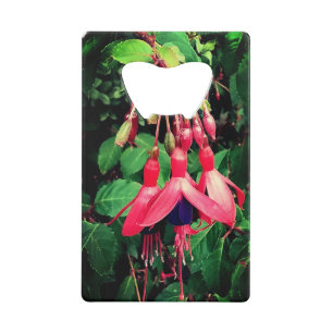 Red and purple flowers