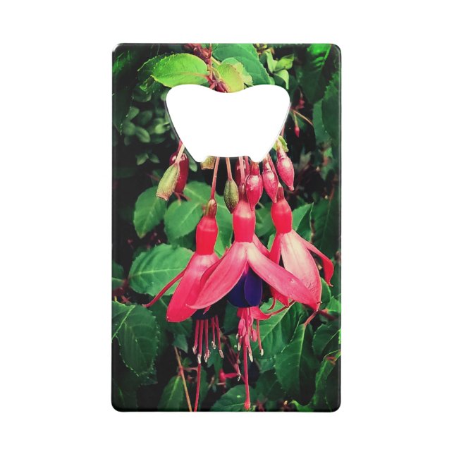 Red and purple flowers (Front)