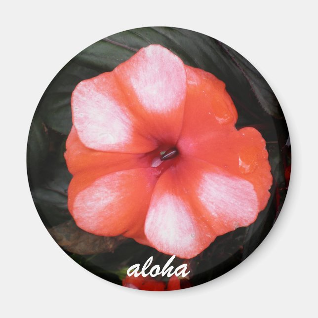 red and white aloha magnet (Front)