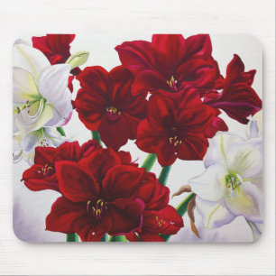 Red and White Amaryllis 2008 Mouse Pad