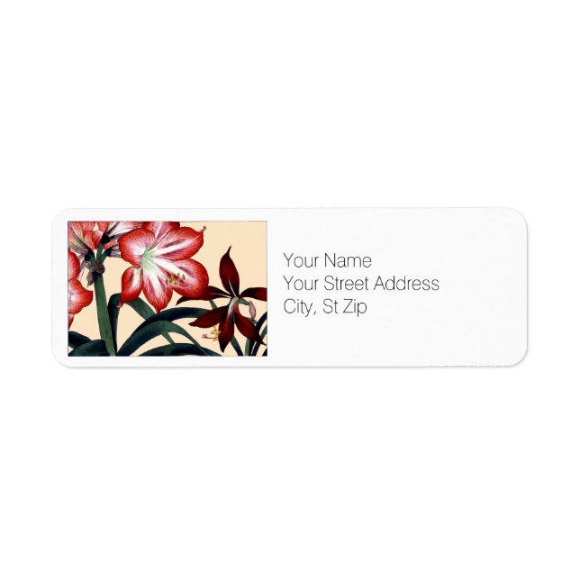Red and White Amaryllis Flowers Return Address Label (Front)
